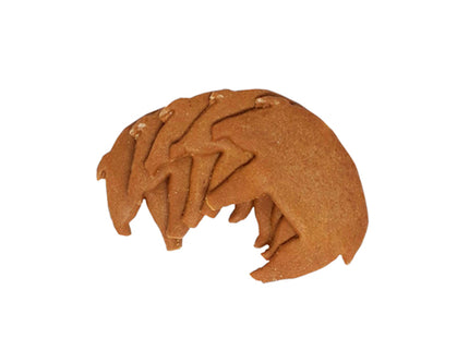 Galletas puerquitos - Veggicano