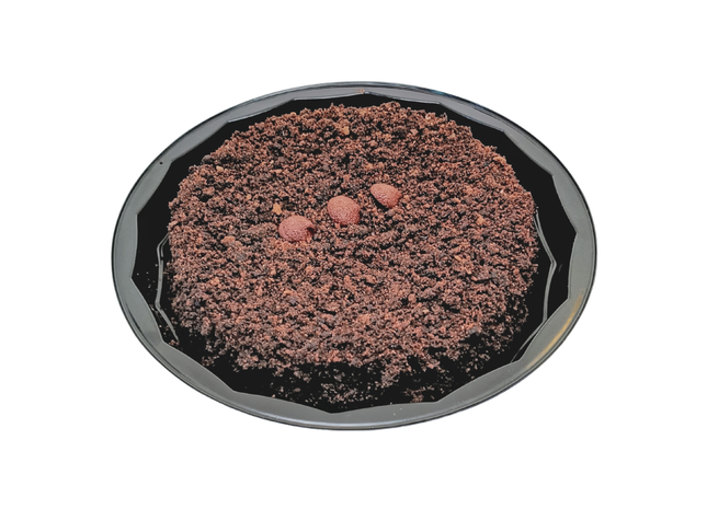 蛋糕410克-奇美拉