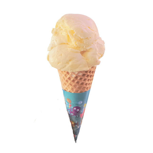 Helado de Vainilla 500ml